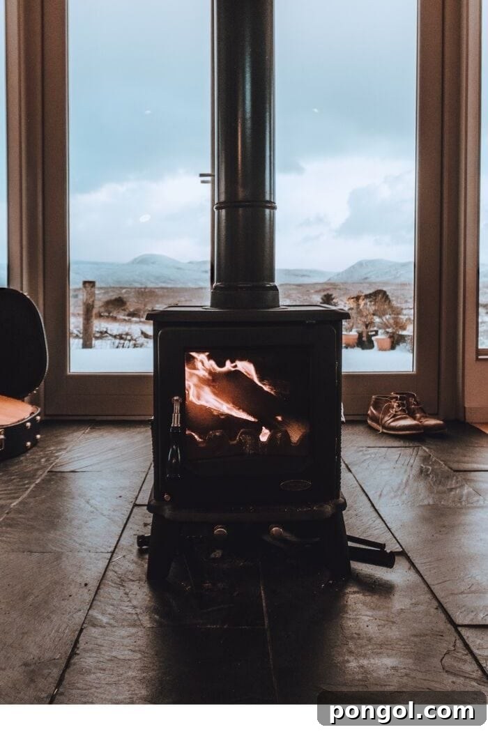 a sleek black Swedish fireplace positioned in front of a large window overlooking a serene, snow-filled winter landscape, creating a cozy and picturesque scene