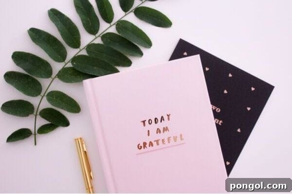 A beautifully minimalist gratitude journal with a sleek golden pen resting beside it, inviting moments of reflection and appreciation.