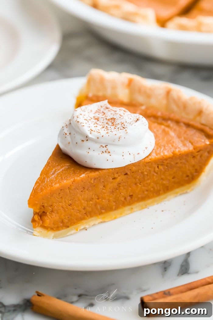 Velvety Vegan Pumpkin Pie 3 A close-up shot of a single slice of vegan pumpkin pie, showcasing its smooth, creamy filling and flaky crust, ready to be enjoyed.