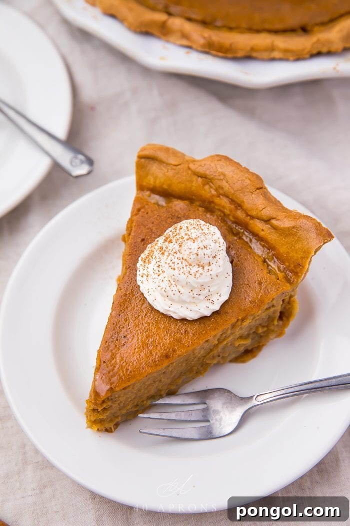 Velvety Vegan Pumpkin Pie 5 A slice of creamy vegan pumpkin pie, perfectly baked and served on a rustic plate with a fork, showcasing its delightful texture and festive appeal.