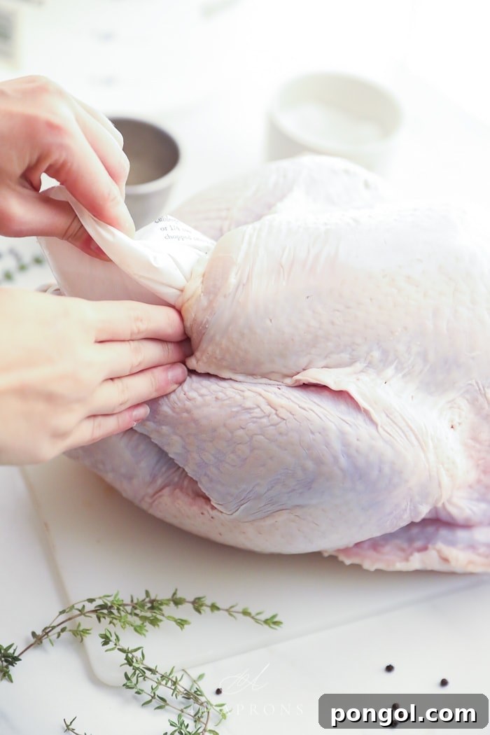 Hands carefully preparing a turkey for roasting, rubbing a herb butter mixture under the skin to enhance flavor and moisture.