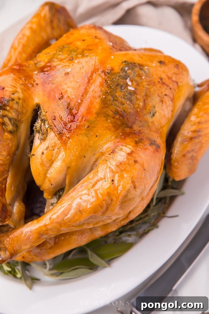 A whole, golden-brown roasted turkey resting on a platter, showcasing its perfectly cooked exterior.
