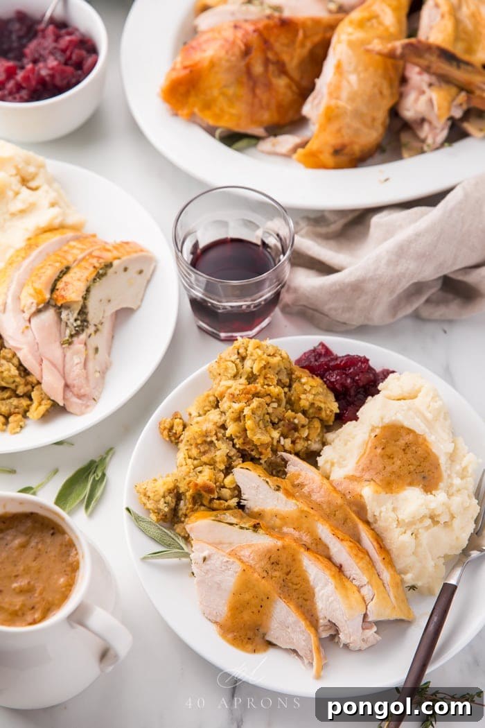 Beautifully carved slices of roast turkey served on a white plate, accompanied by classic side dishes, ready for a festive meal.