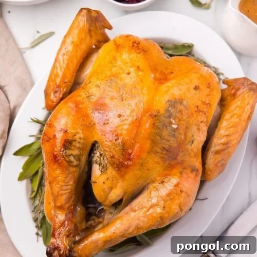 Roasted turkey on a platter with Thanksgiving trimmings