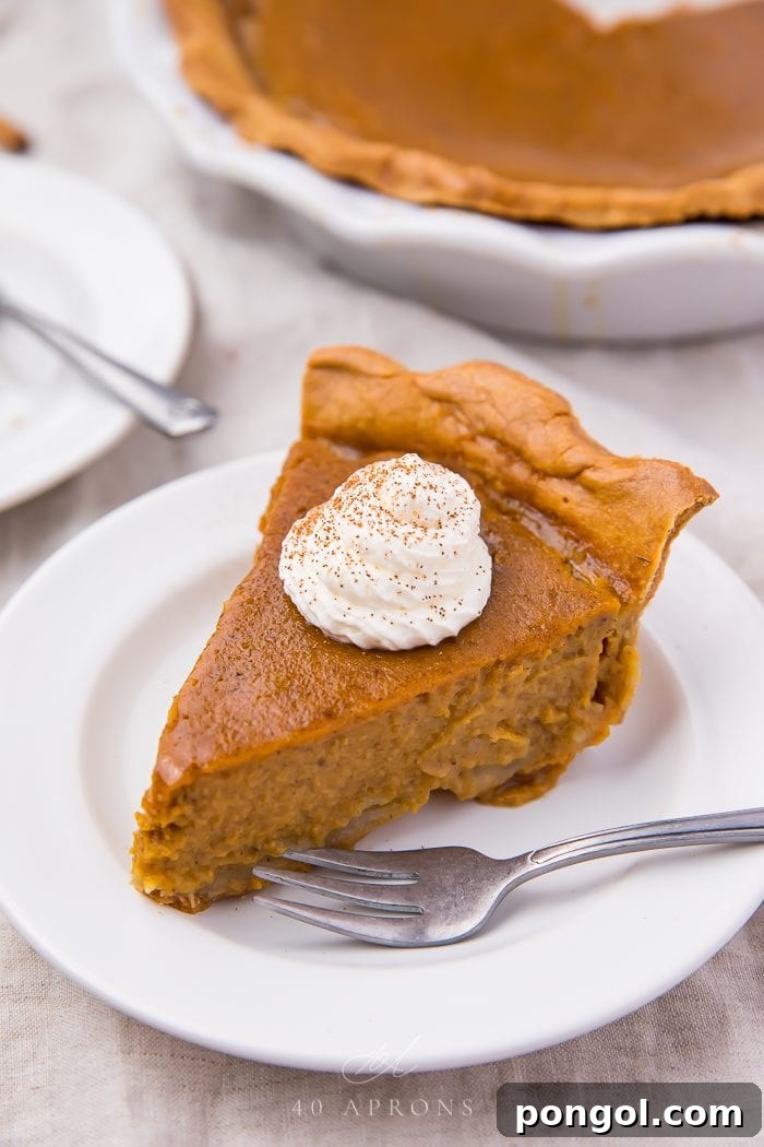 A slice of pie ready to eat