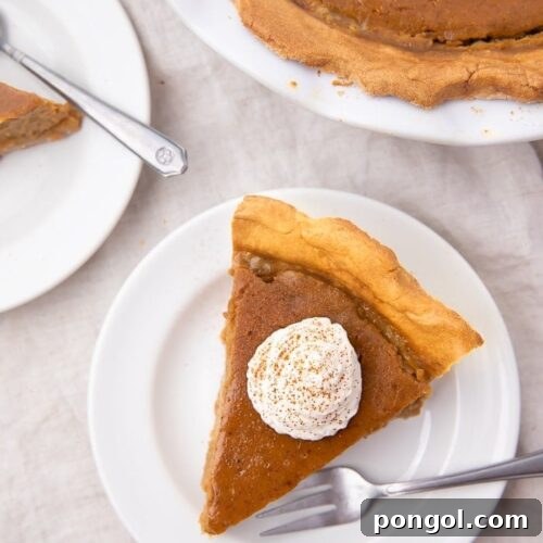 A slice of paleo pumpkin pie on a white plate