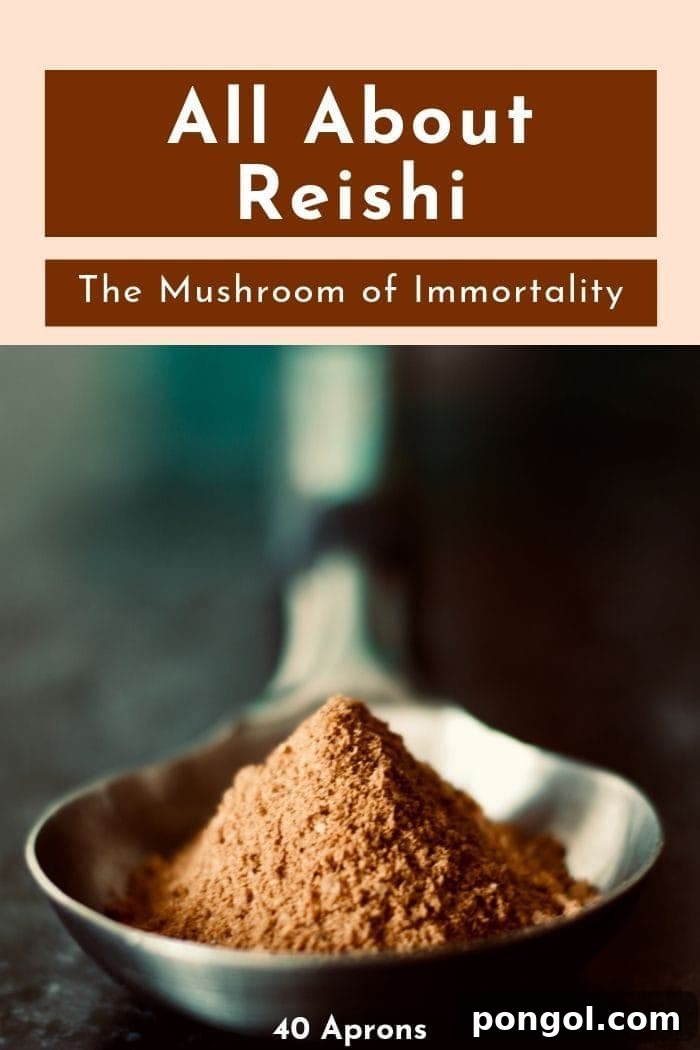 Reishi: The Immortal Mushroom Uncovered 2 blog graphic depicting red reishi mushroom powder on a silver spoon with a text overlay saying "all about reishi"