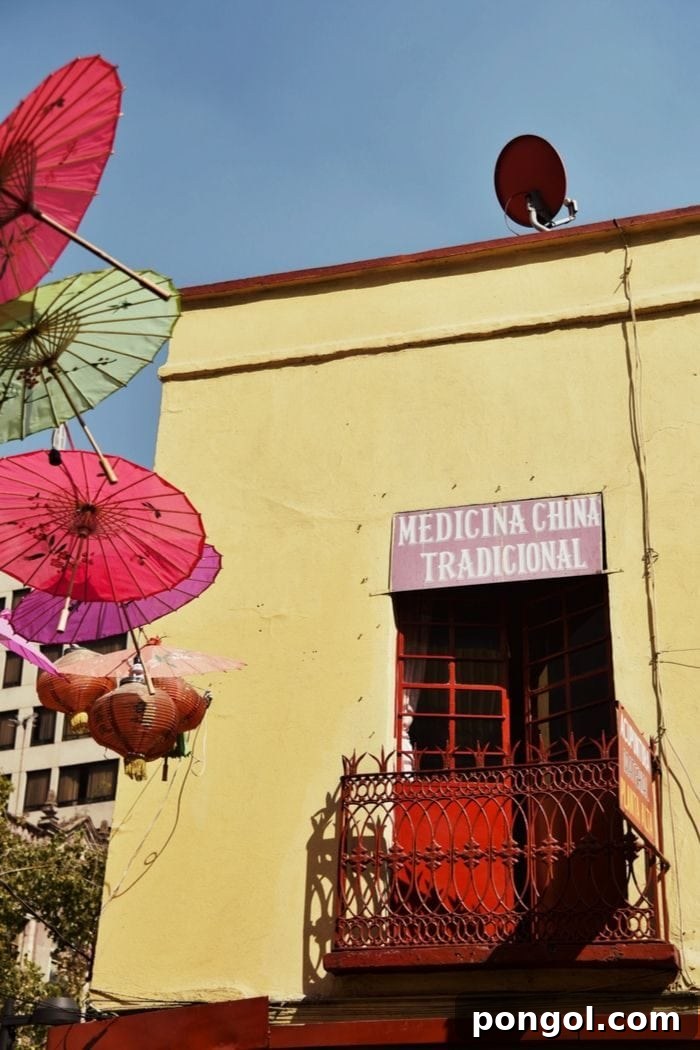 Reishi: The Immortal Mushroom Uncovered 3 entrance door to a traditional Chinese herb store with colorful umbrellas and paper lanterns next to it