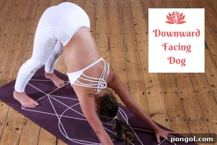 Effortless Detox: 8 Yoga Poses to Cleanse Your System 3 a woman entering the detox yoga position of downward dog