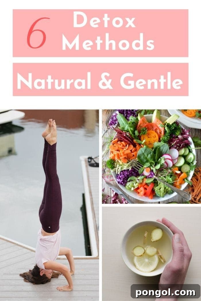 blog graphic picture collage showing natural gentle detox methods 