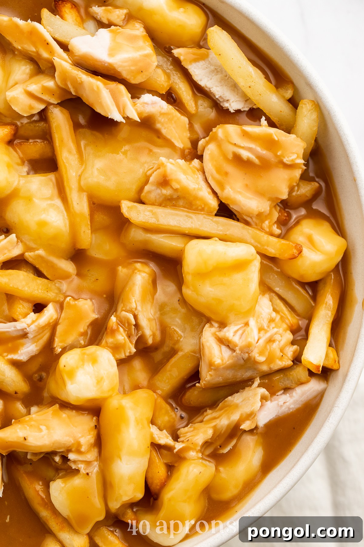 An overhead view capturing the right half of a generous bowl of Leftover Turkey Poutine, showcasing golden fries generously topped with tender turkey meat and rich, savory gravy.