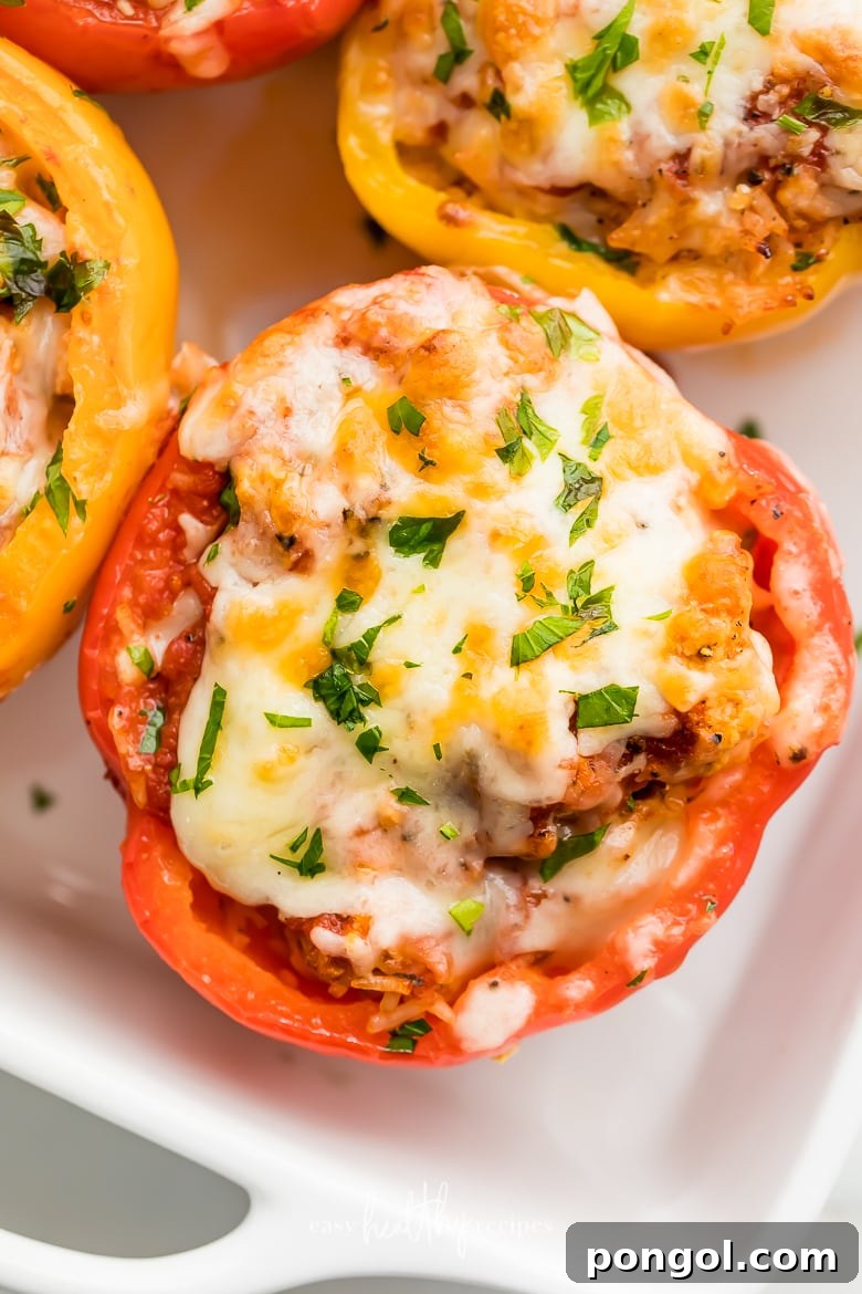 Vibrant bell peppers, generously stuffed with a savory mixture of turkey and rice, baked to perfection and topped with a luscious layer of melted cheese.