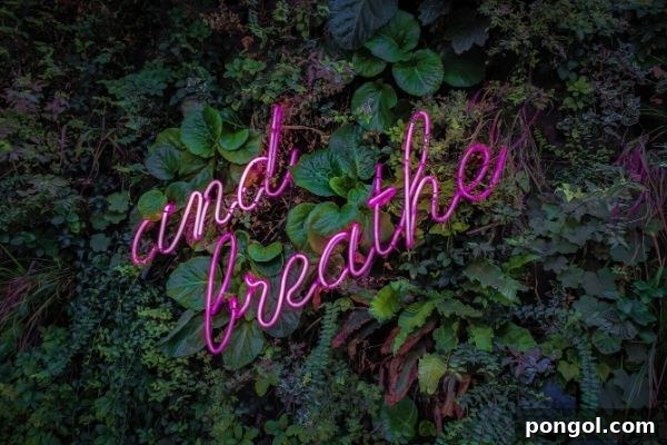 Quick Calm for Holiday Chaos 5 a pink neon sign with the flashing words "and breathe" against a wall of green jungle plants