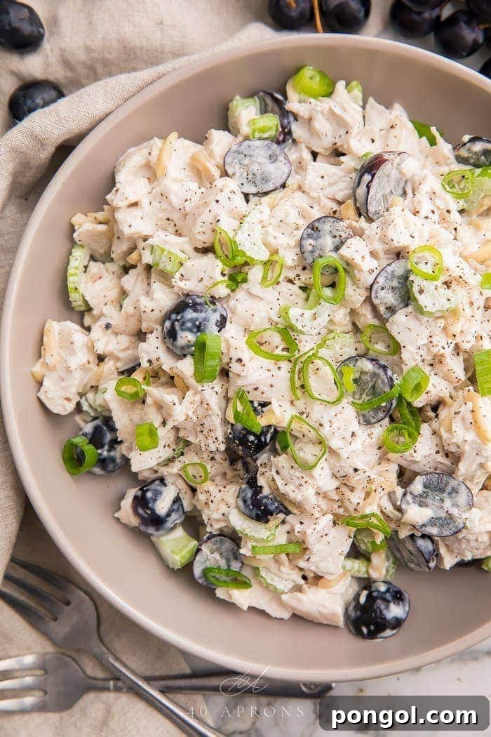 A vibrant Whole30 chicken salad served in a elegant grey bowl, garnished with fresh red grapes, ready to be enjoyed.