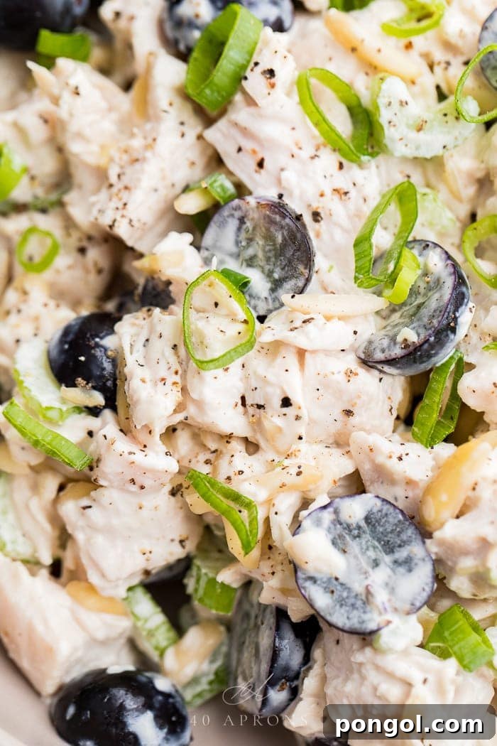 A close-up view of the creamy and textured Whole30 chicken salad, highlighting the tender chicken, vibrant grapes, and crunchy almonds, perfectly ready to be served.