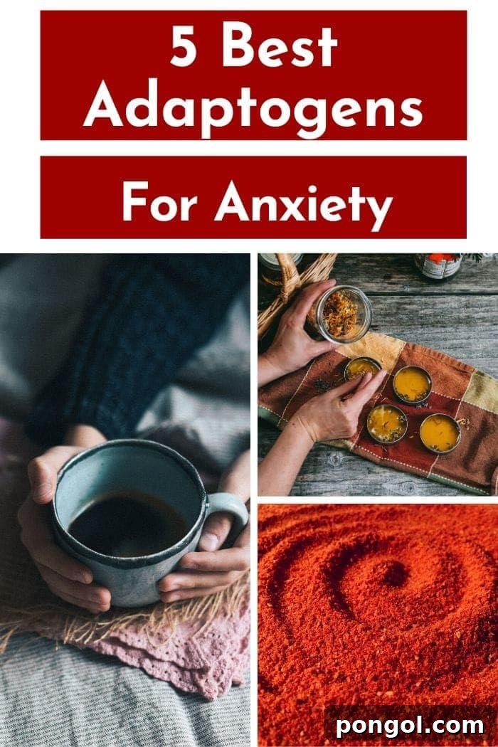 pictures of different adaptogens for anxiety in a photo collage with a text overlay saying "Best Adaptogens for Anxiety"