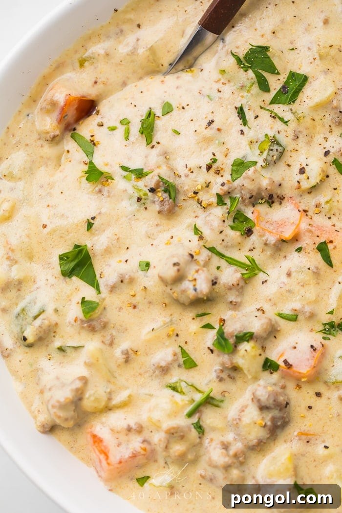 The cheeseburger soup in a white bowl garnished with fresh herbs, ready to be served