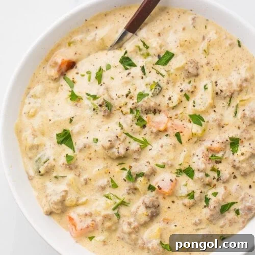 Cheeseburger soup in a white bowl with a spoon, garnished with fresh herbs