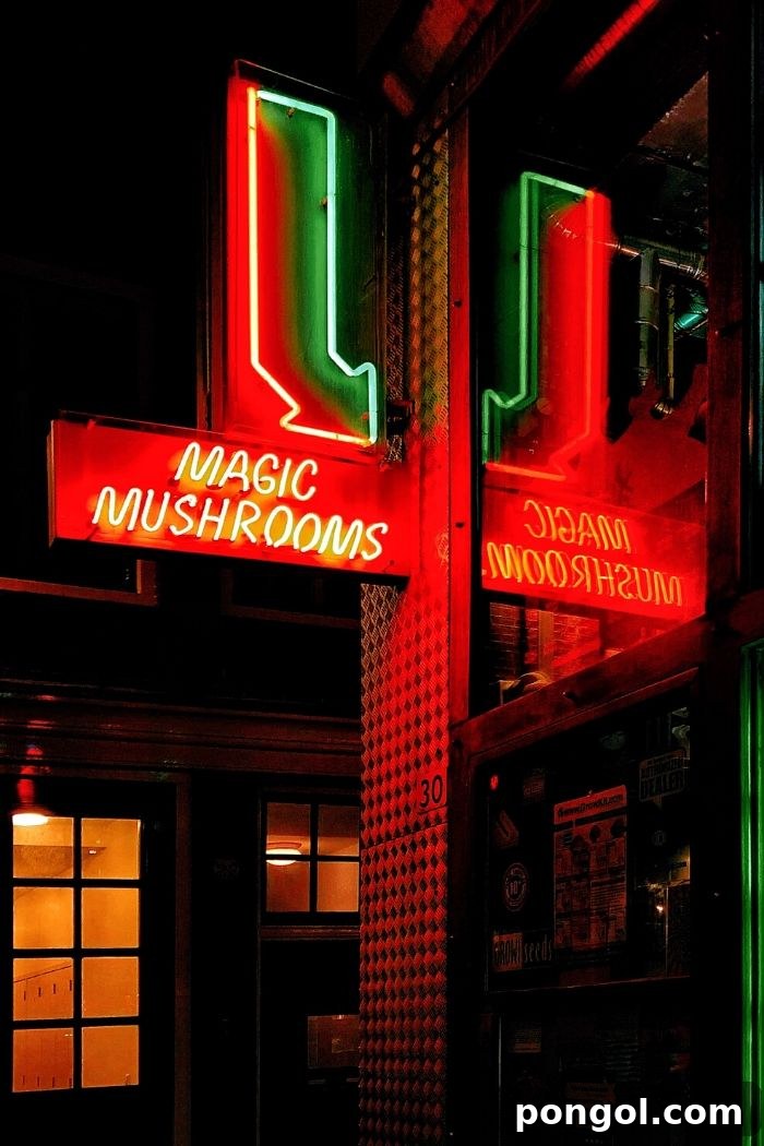 neon sign advertising a shop selling magic mushrooms 