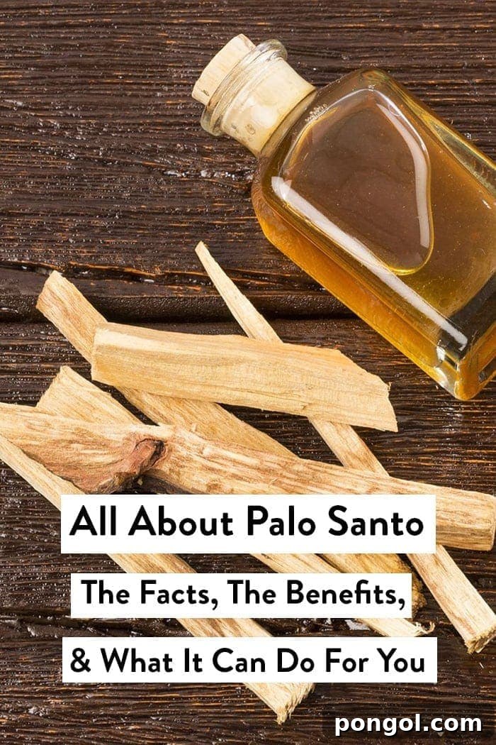 Palo Santo wood sticks with mystical aura