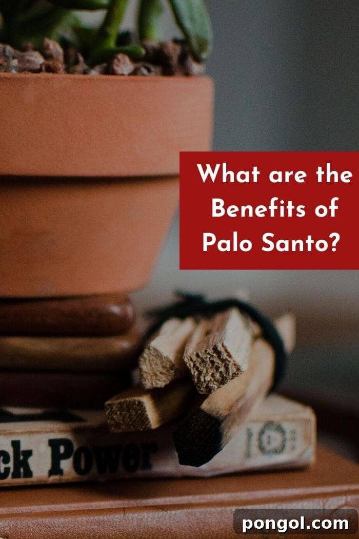 A bundle of Palo Santo wood sticks on a leather book, ready for use