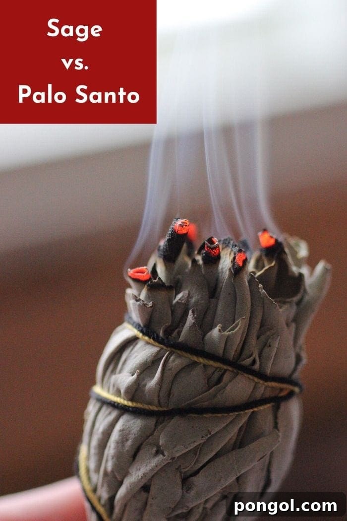 A bundle of white sage leaves used for smudging, alongside a Palo Santo stick