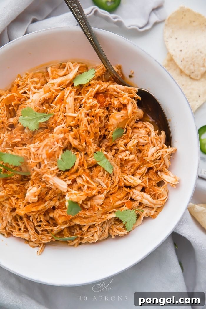 A white bowl brimming with perfectly seasoned Mexican shredded chicken, ready to be incorporated into a variety of dishes.
