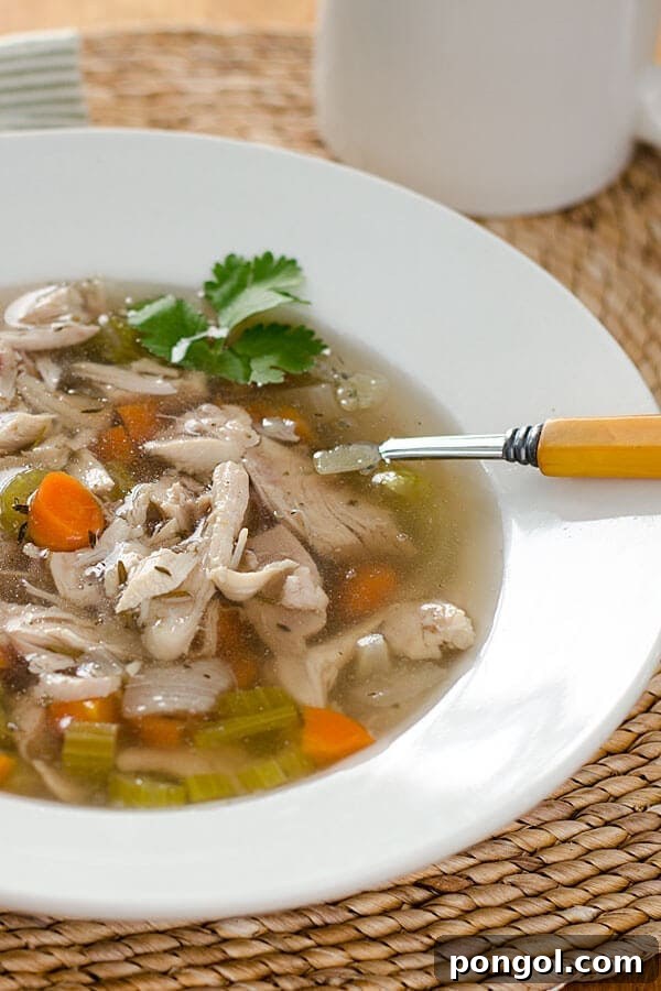 A comforting serving of Whole30 chicken soup in a pristine white bowl, showcasing tender chicken pieces and vibrant vegetables, ready for a wholesome meal.