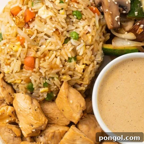 Close-up on a plate of hibachi chicken and fried rice with hibachi veggies and creamy mustard dipping sauce.