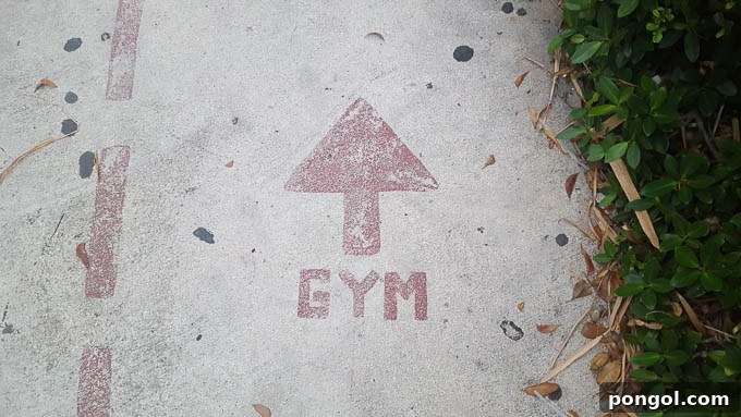 image of gym painted on concrete with arrow