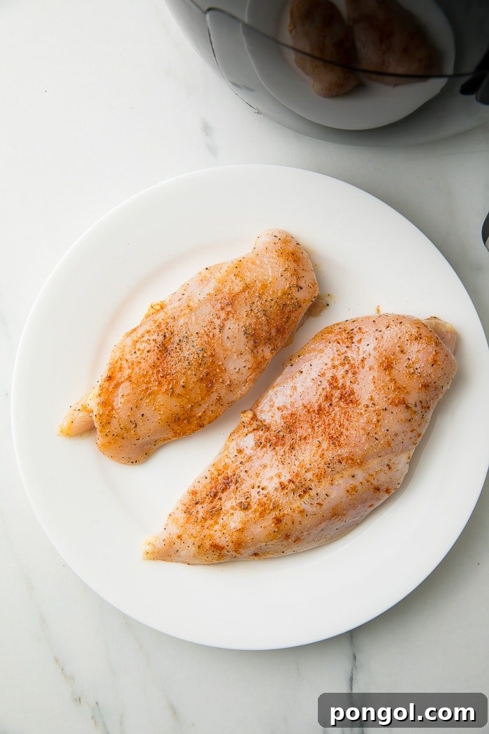 Seasoned chicken breast prepared on a plate, ready to be placed into the air fryer