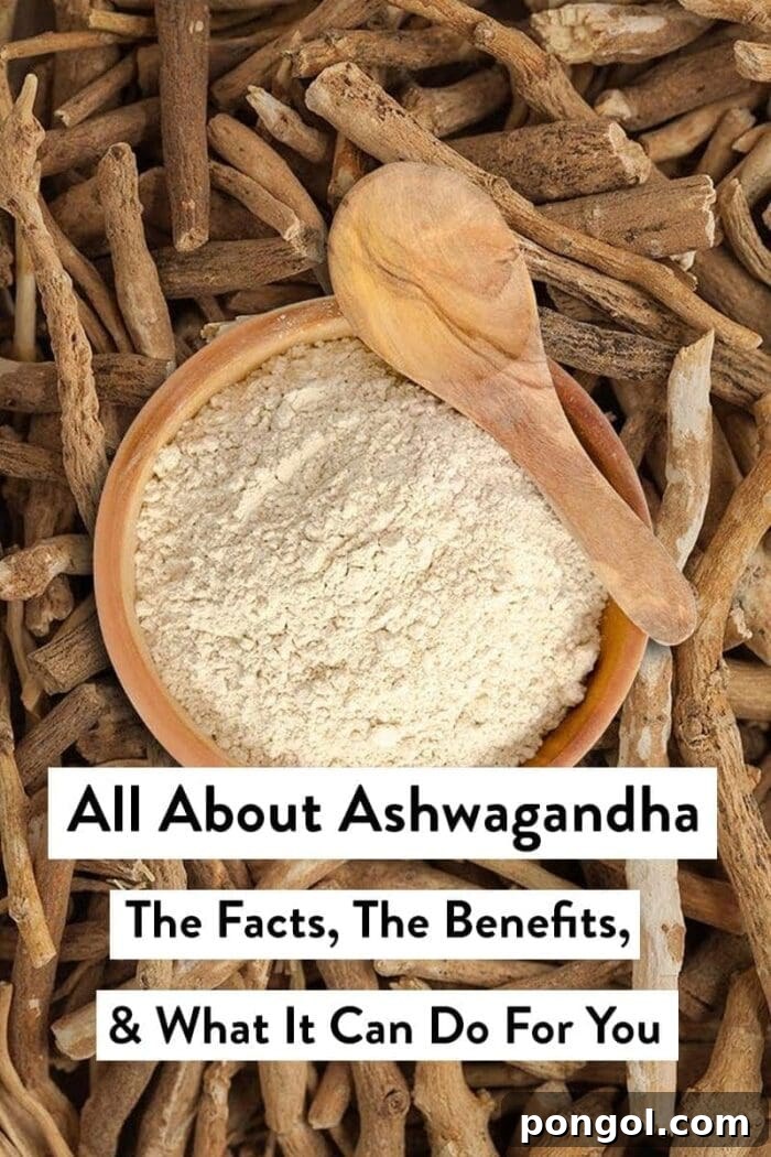 Ashwagandha: Your Complete Guide 2 Ashwagandha roots and powder in a spoon