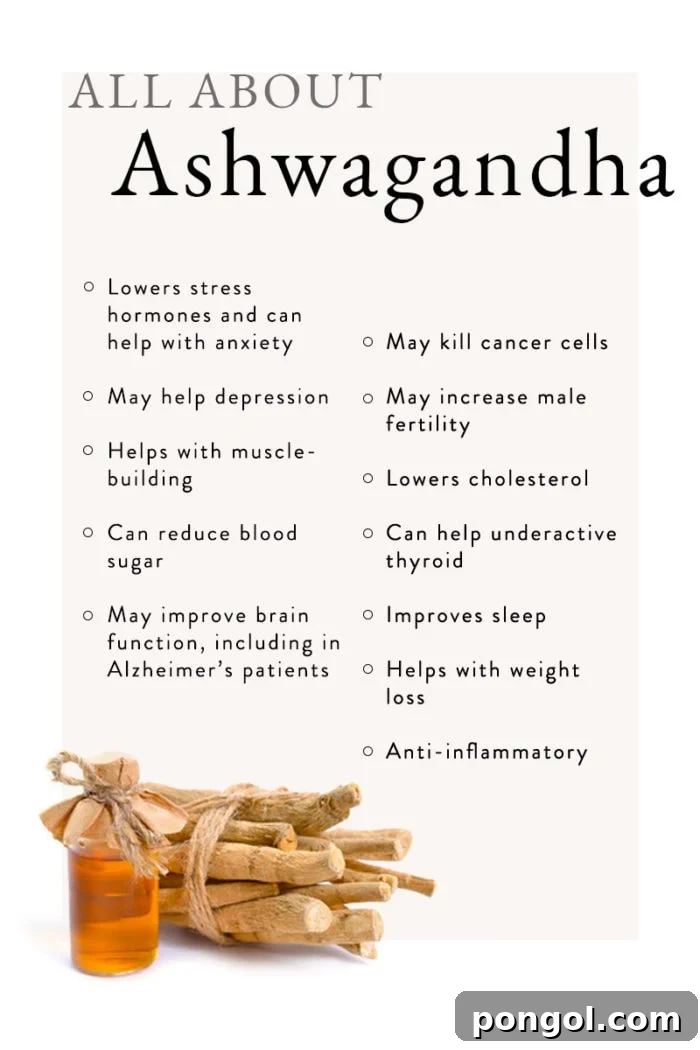 Ashwagandha: Your Complete Guide 3 Graphic showing ashwagandha's benefits