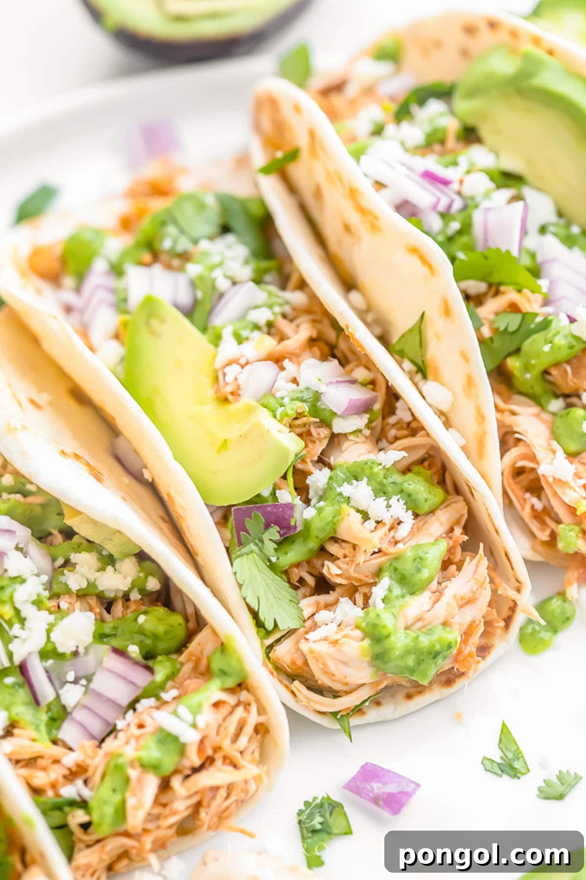 Close-up of Crockpot chicken tacos arranged on a white plate. The tacos are topped with diced red onion, slices of avocado, and crumbled cheese.