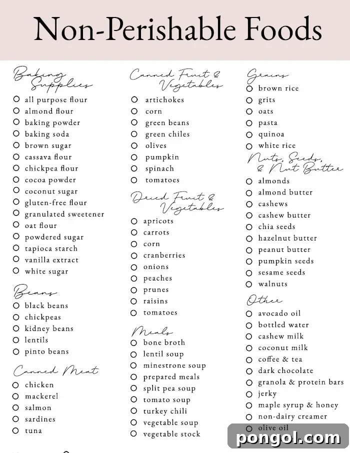 A beautifully organized pantry showcasing a diverse selection of non-perishable foods. Jars of grains, neatly stacked canned goods, and various dry items highlight effective pantry organization for healthy, long-term food storage.