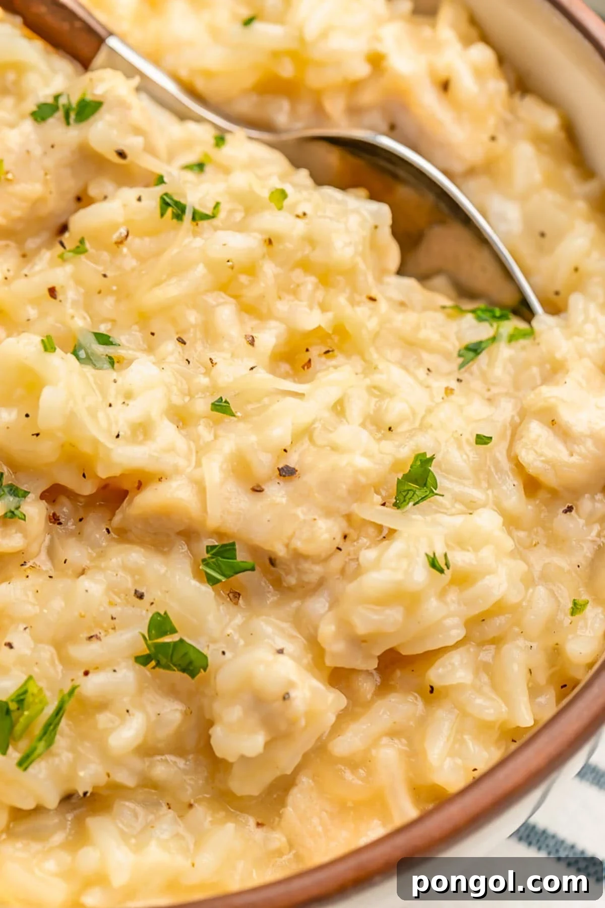 Easy Instant Pot Chicken and Rice Close Up with steam rising