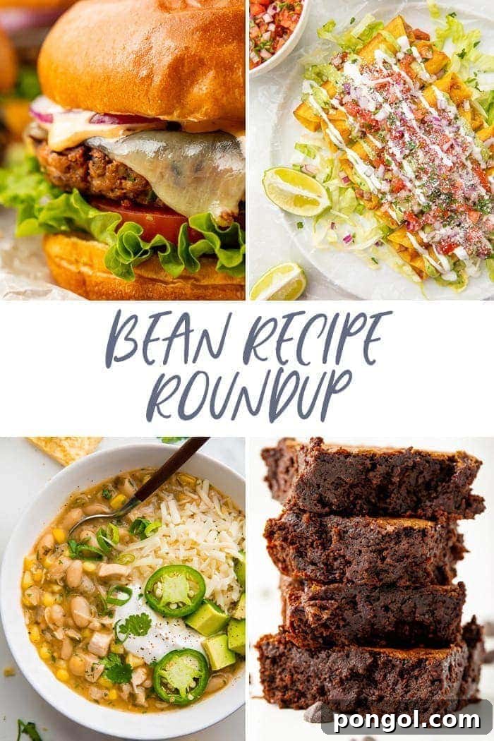 A vibrant collage of various bean-based dishes, showcasing the incredible versatility of beans in cooking, featuring savory meals, hearty sides, and even sweet treats like brownies. This roundup highlights the diverse culinary applications of this protein and fiber-rich pantry essential.