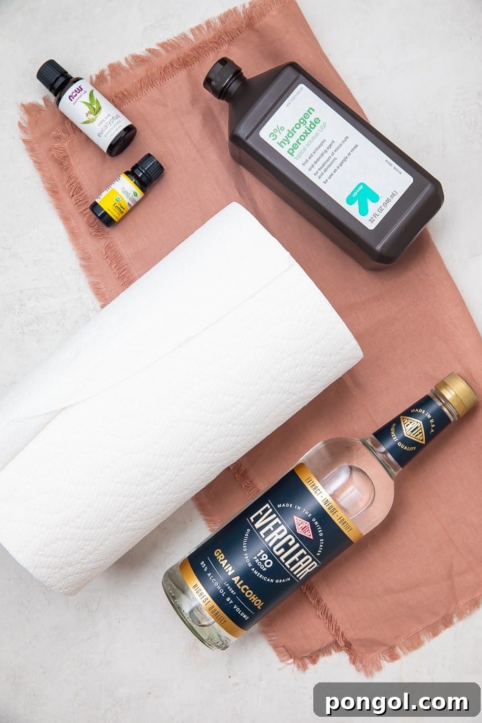 Ingredients for DIY Lysol wipes