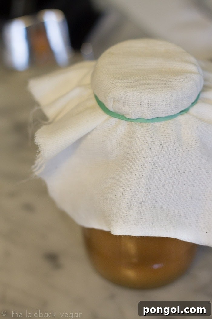 Understanding the SCOBY: What it is and why it's essential for Kombucha