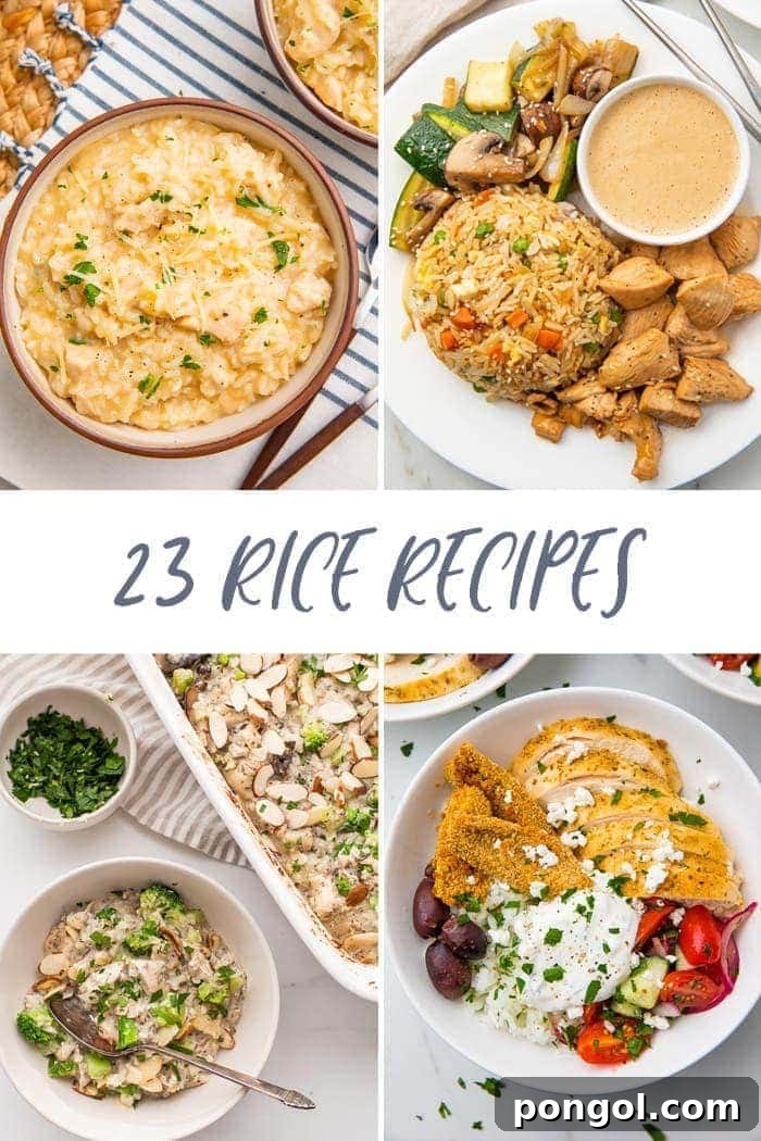 A vibrant collage featuring various rice dishes, including chicken and rice bowls, fried rice, and rice pudding, highlighting the diversity of rice recipes.