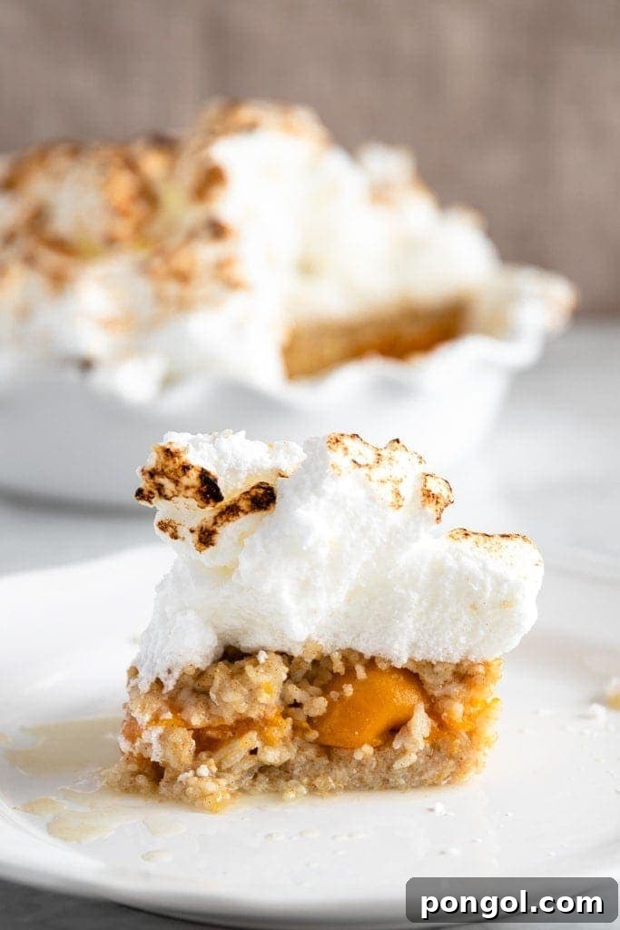 A comforting bowl of baked rice pudding, topped with glistening apricots, showcasing a classic dessert that's creamy and sweet.