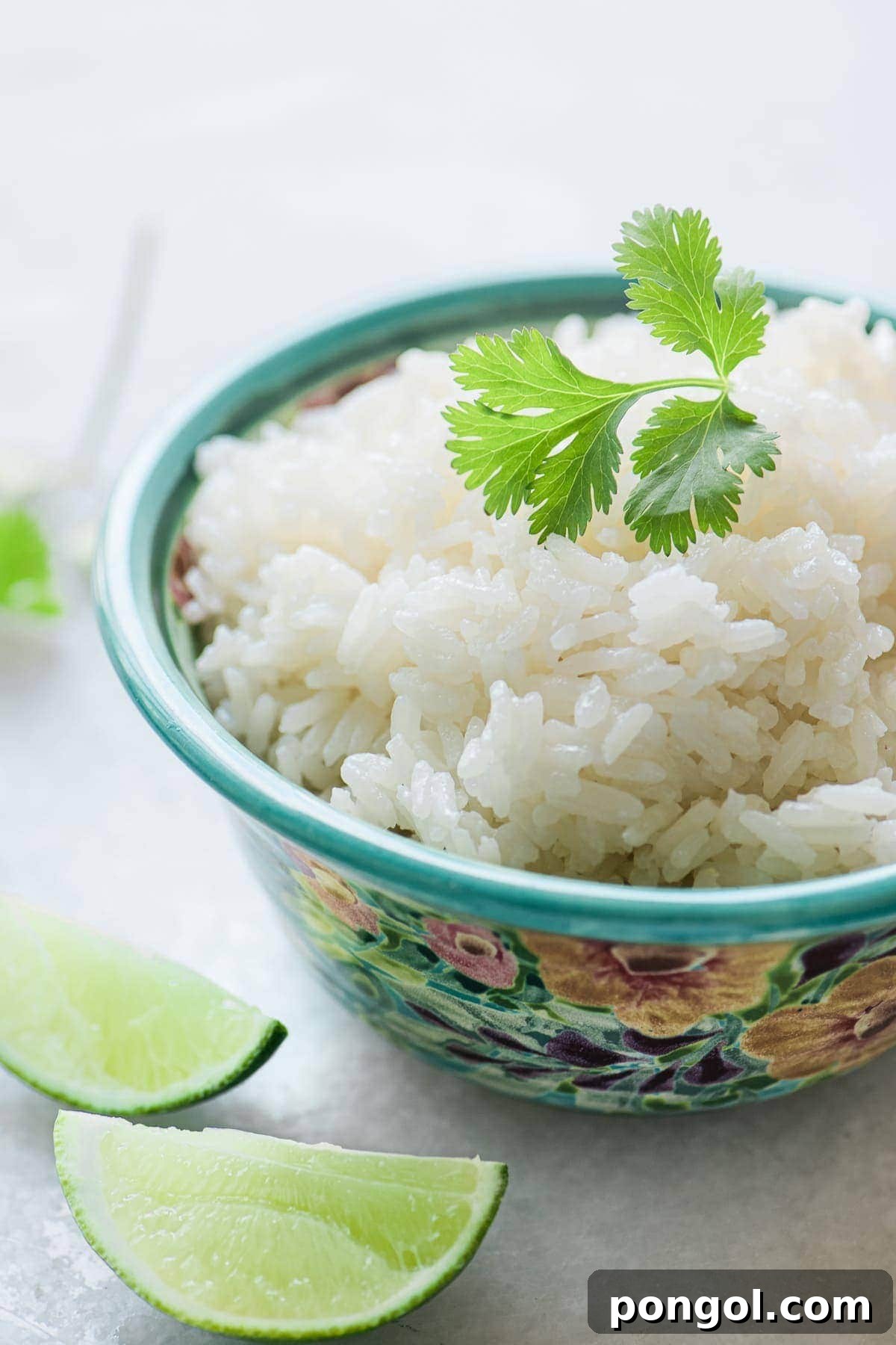 A luscious bowl of coconut rice, showcasing its creamy texture and fragrant aroma, perfect as a sweet or savory accompaniment.