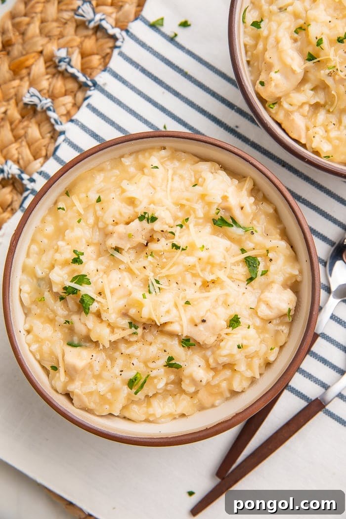 Two steaming bowls of creamy Instant Pot chicken and rice, garnished with fresh herbs, ready for a comforting family dinner.