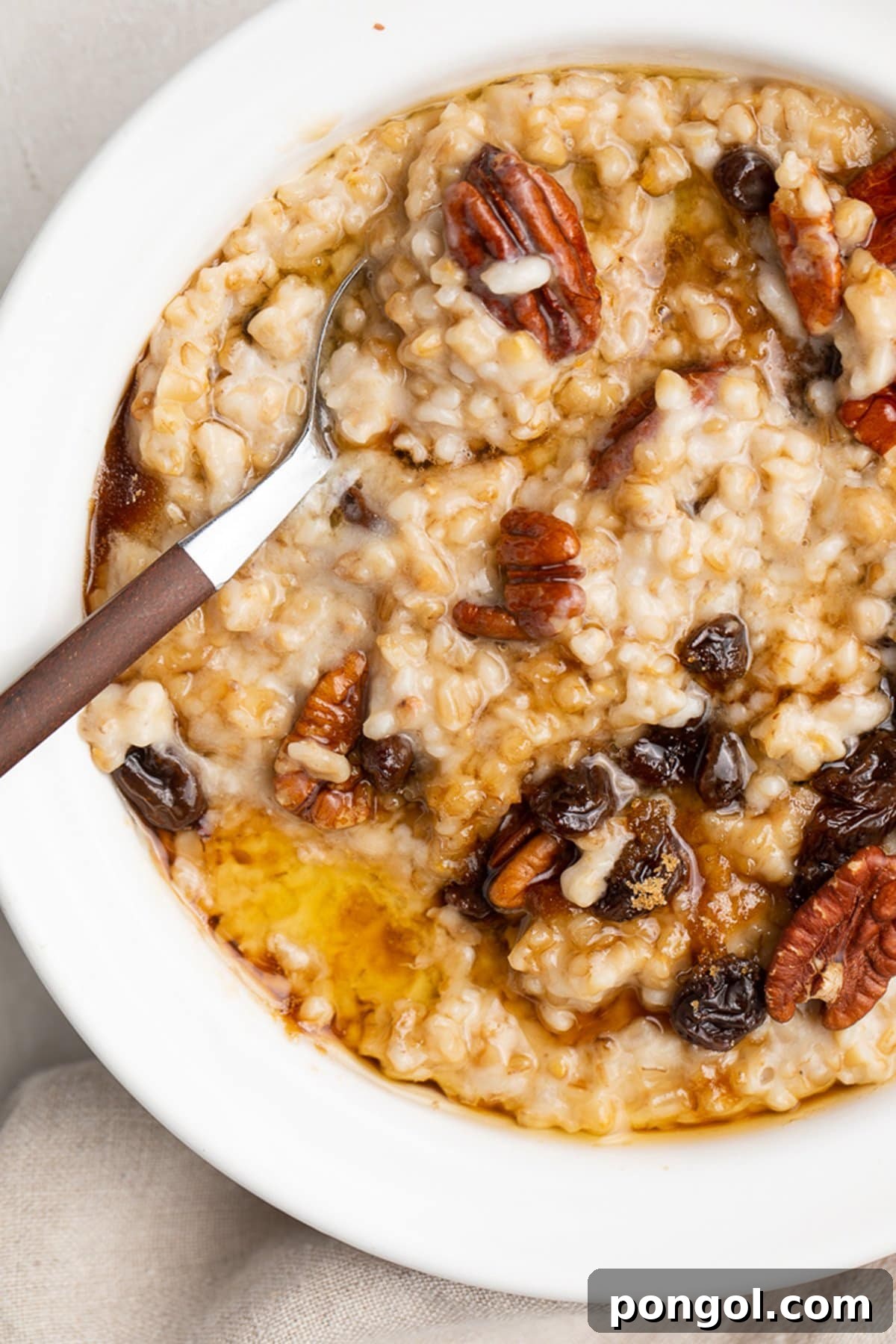 A beautifully presented bowl of creamy Instant Pot steel cut oats, generously topped with crunchy pecans and sweet, plump raisins, ready to be enjoyed as a wholesome breakfast.