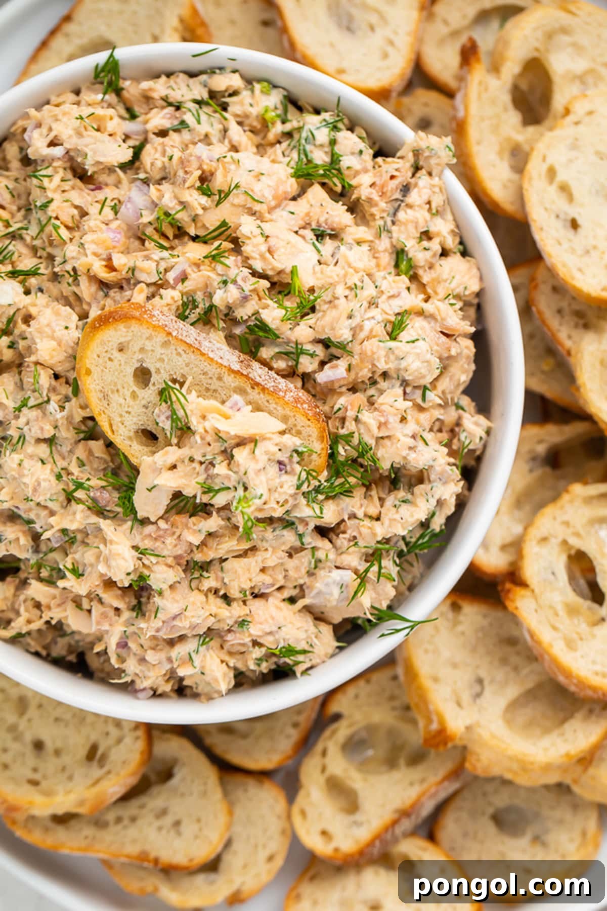 Simple Salmon Salad 3 A bowl of freshly prepared canned salmon salad, surrounded by golden crostini. A single crostini is partially dipped into the salad, ready to be enjoyed.