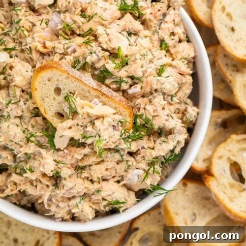 A bowl of canned salmon salad surrounded by crostini, with a slice of crostini in the dip.
