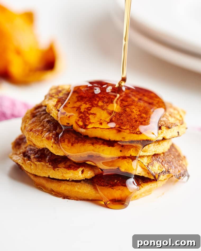 27 Sweet Potato Delights 12 Simple 2-Ingredient Sweet Potato Pancakes for a quick breakfast