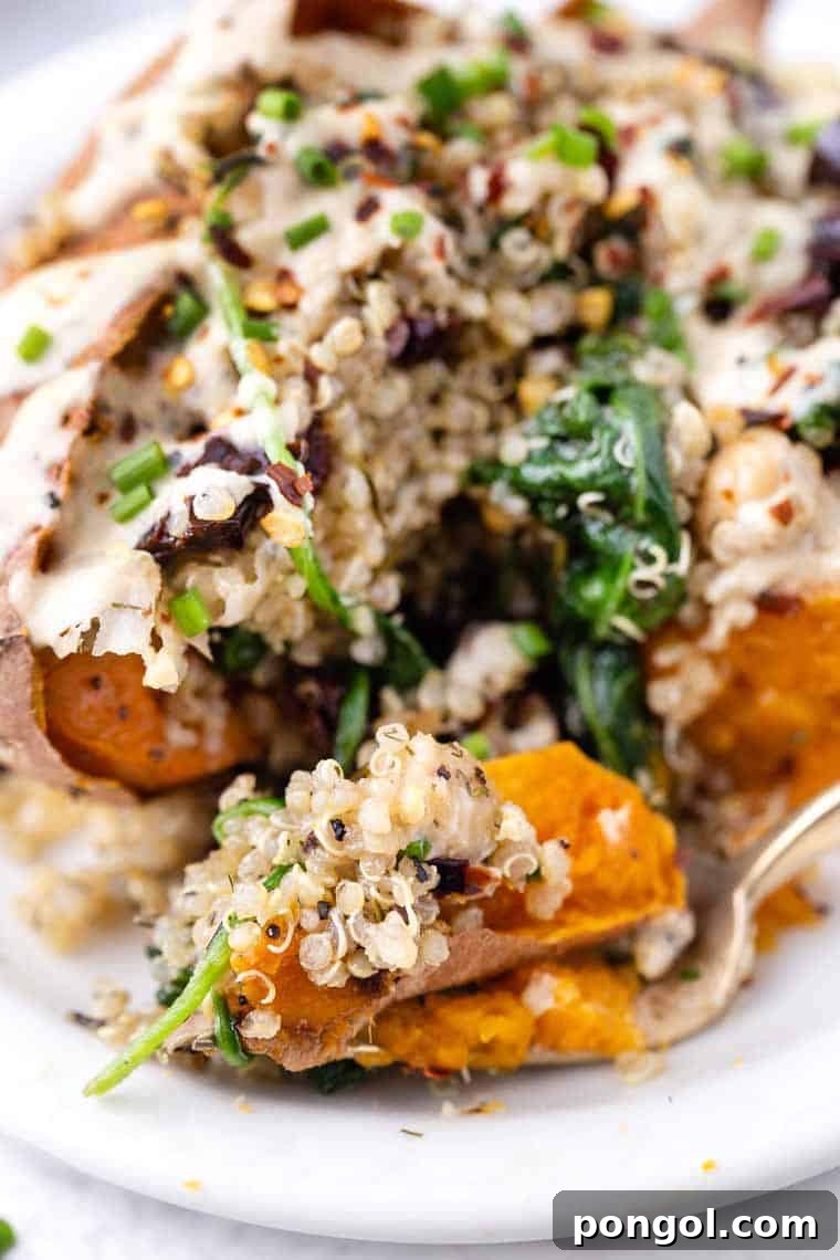 27 Sweet Potato Delights 27 Wholesome Vegan Stuffed Sweet Potatoes with Mediterranean quinoa