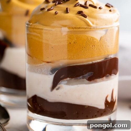 A beautifully presented whipped coffee ice cream sundae with layers of fudge, ice cream, and coffee foam.