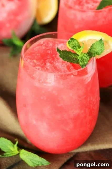 A refreshing glass of Watermelon Gin Punch, elegantly garnished with a crisp slice of watermelon and a fresh sprig of mint.